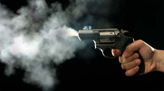 Foreign Terrorist 'Abu Hamza' Behind Rajouri Killing, Says J-K Police