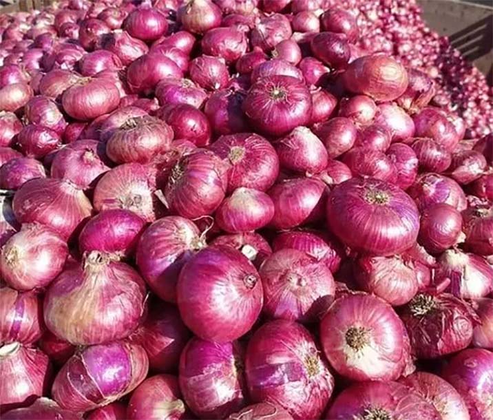 Govt Extends Ban on Onion Exports Till Further Orders