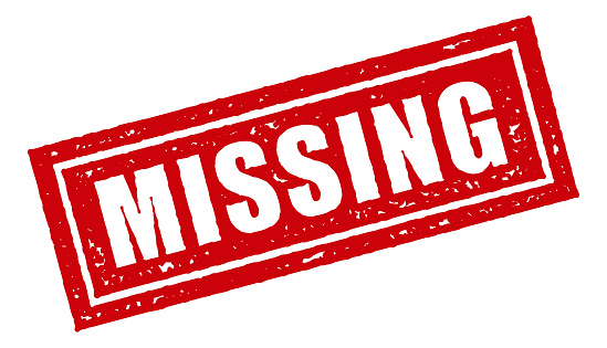 'BSF Jawan Goes Missing In Balakote Sector Rajouri'