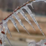 Kashmir Shivers as Srinagar Records Minus 4.6°C, Shopian Records -10.4°C