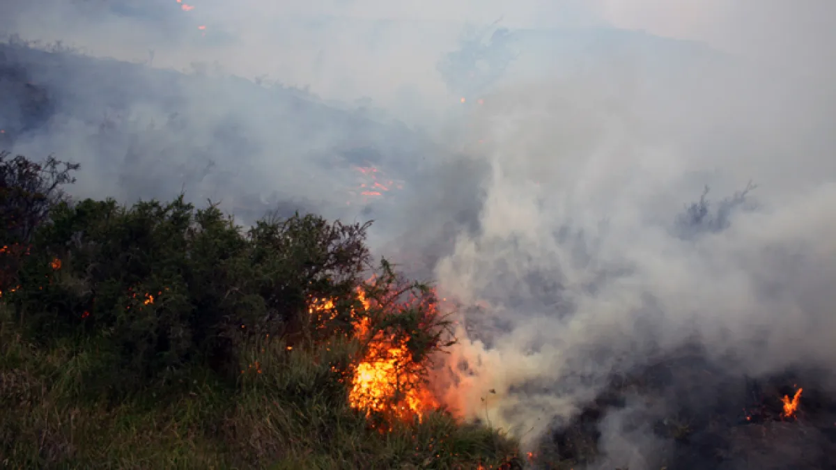 Army Brings Under Control Forest Fire In J&K’s Poonch