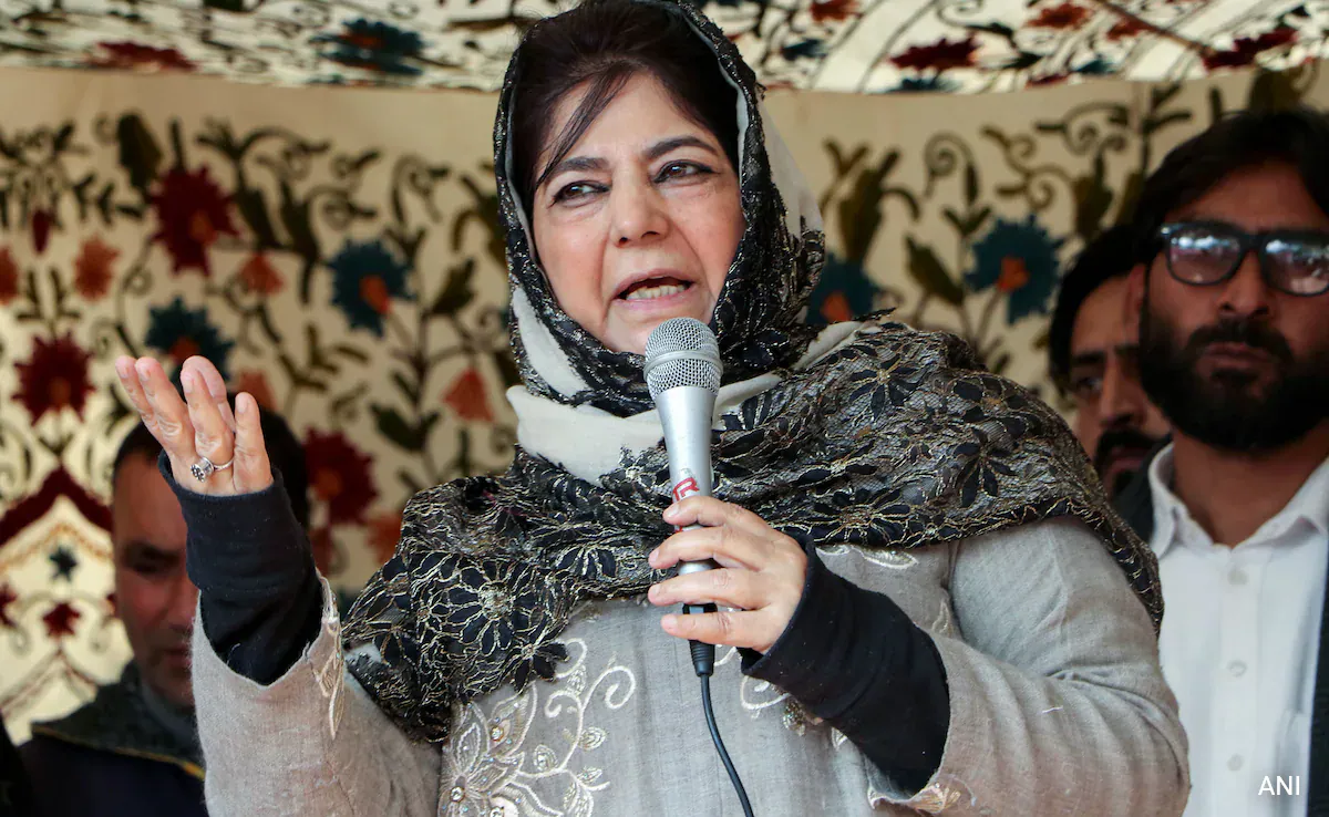 PDP Will Voice Concerns of People of J&K in Parliament: Mehbooba Mufti