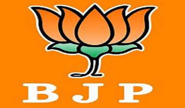 BJP Hands Key Roles to Leaders Denied Tickets